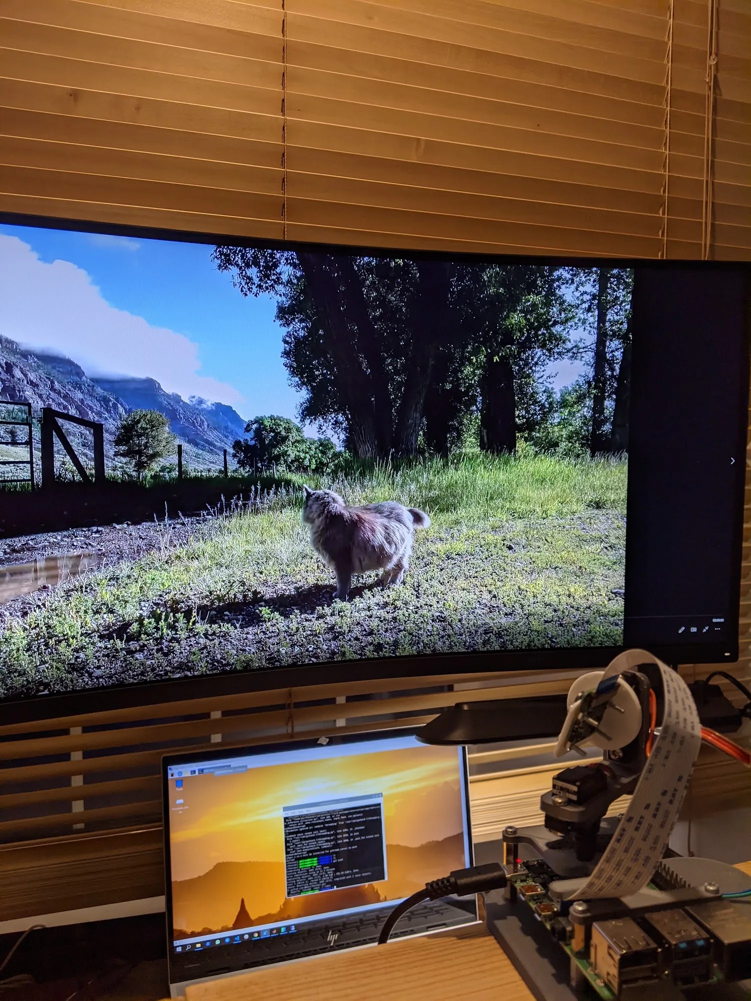 Robotic camera and connected laptop beside a display showing a cat